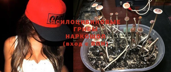 бошки Армянск