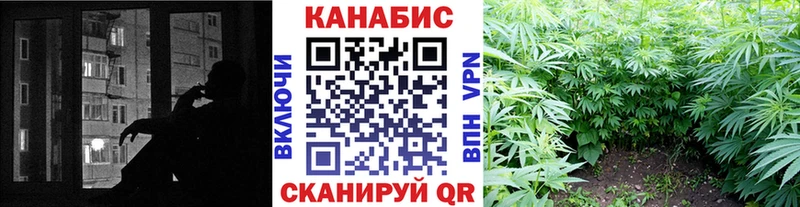 Бошки Шишки THC 21% Пучеж